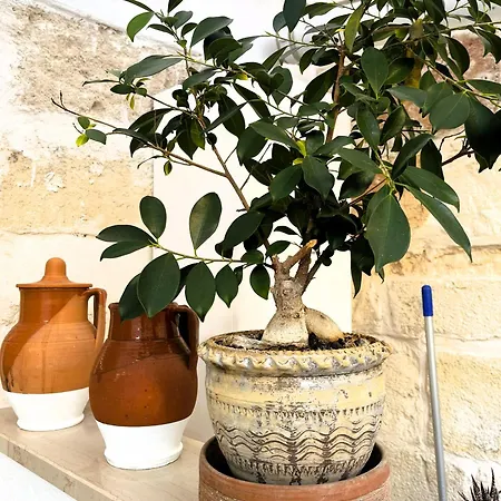 בית נופש Casa Regina מונופולי