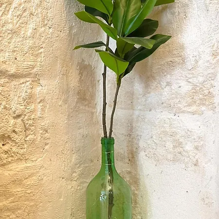 Casa Regina מונופולי