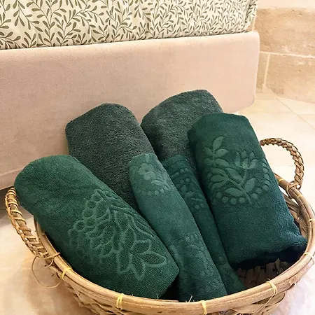 別荘 Casa Regina モノーポリ