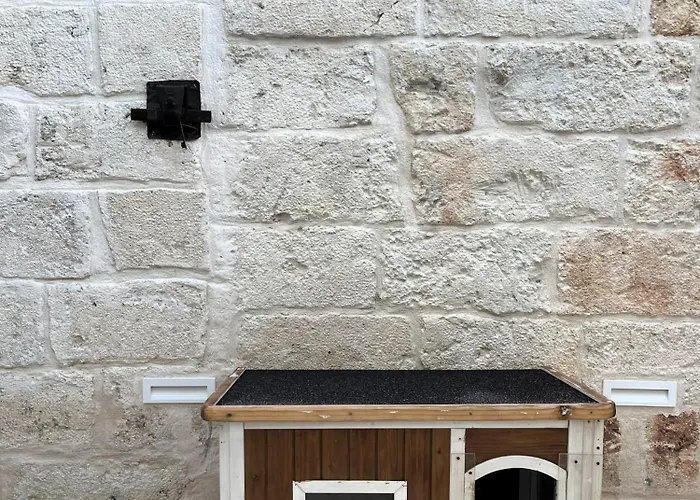 Casa Regina Casa vacanze *